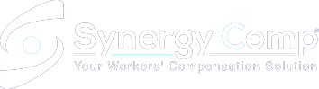 Synergy Comp logo - white